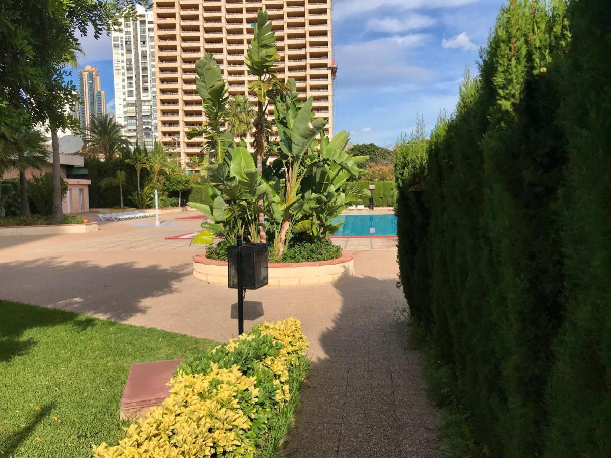Paraiso 10 Blueline Appartement *